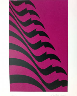 Kleber Ventura - Bandeira pink
