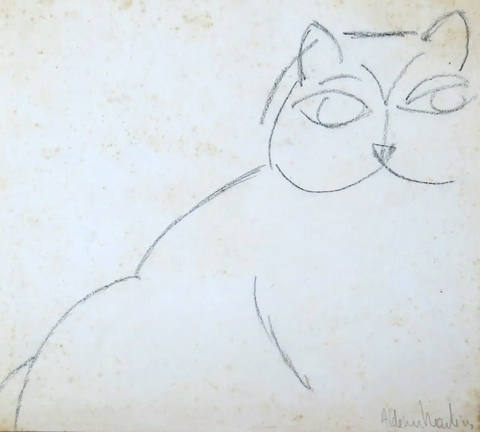 Gato