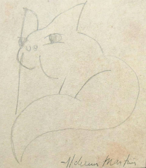Gato