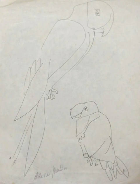 Araras (s/ data)