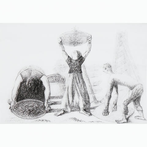 Peneirando Café,1948