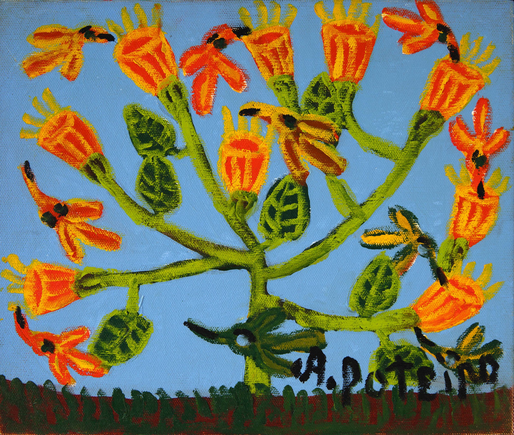 Flores