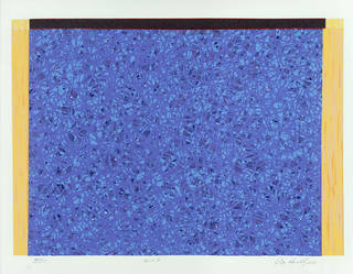 Cildo Meireles - Sem título