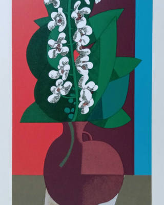 Inos Corradin - Orquídeas