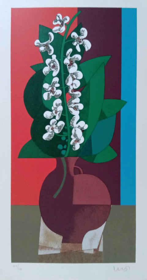 Orquídeas