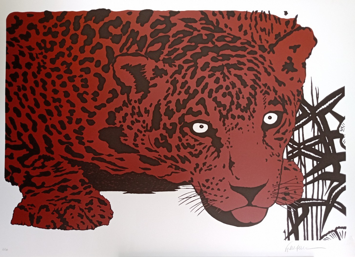 Onça pintada vermelha