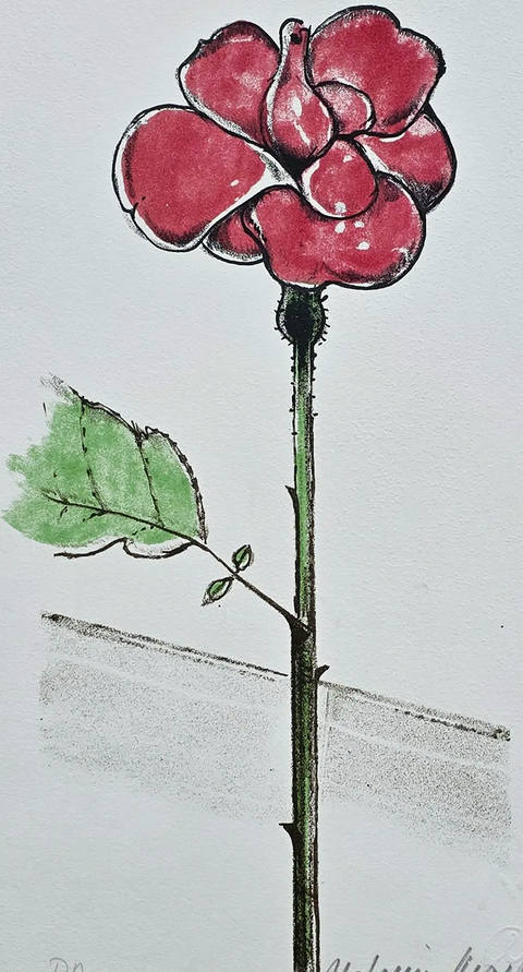 Rosa vermelha