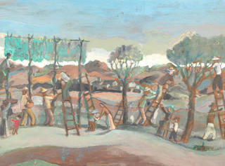 Fulvio Pennacchi - Colheita