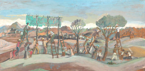 Colheita