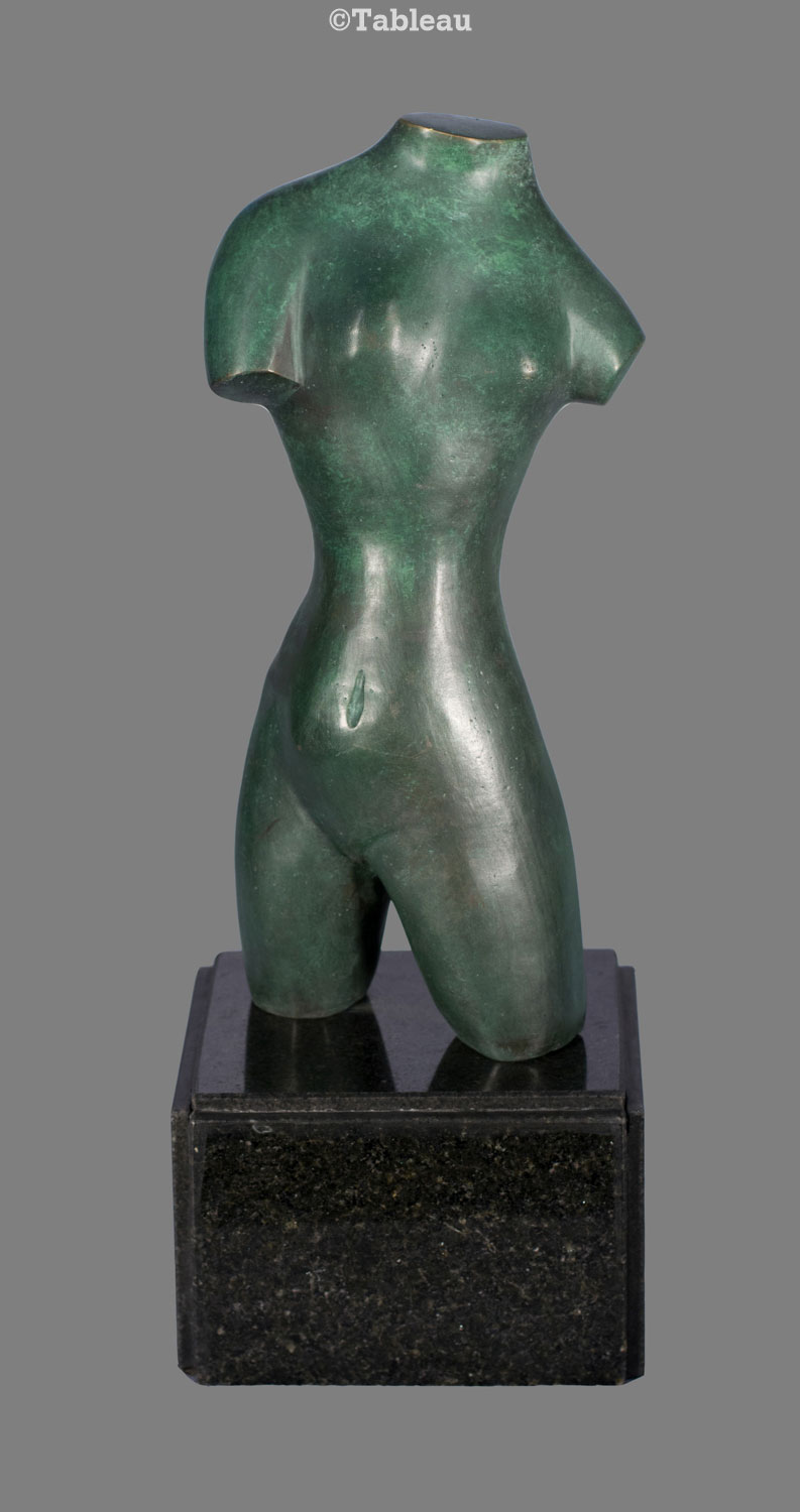 Torso