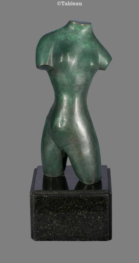 Torso