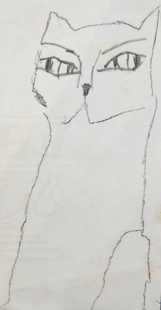 Gatos