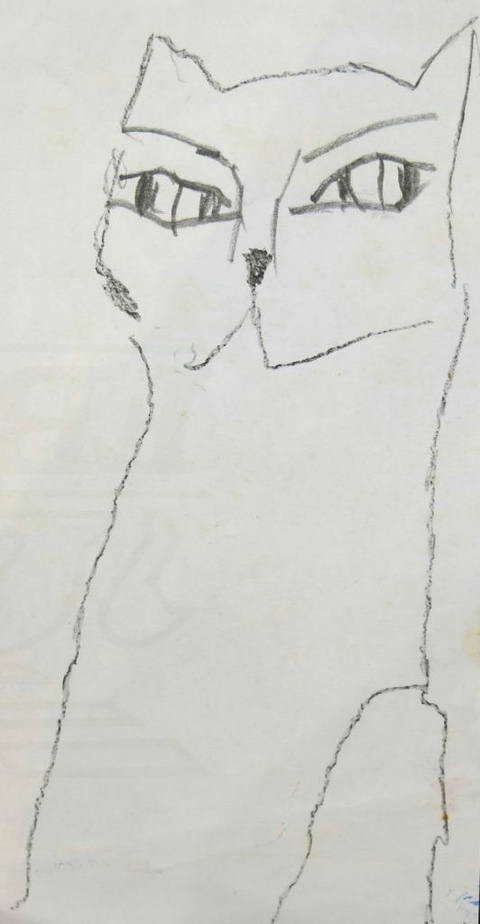 Gatos