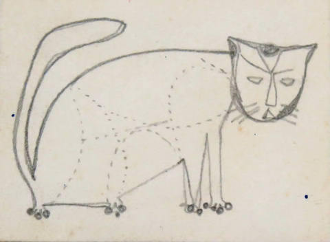 Gato