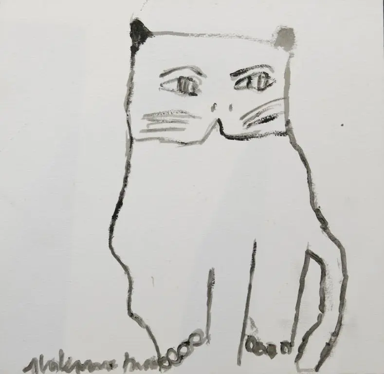 Gato