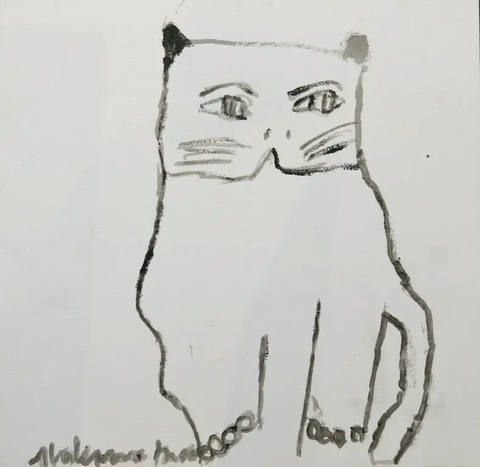 Gato