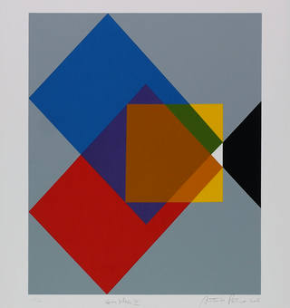 Antonio Peticov - Complexo III
