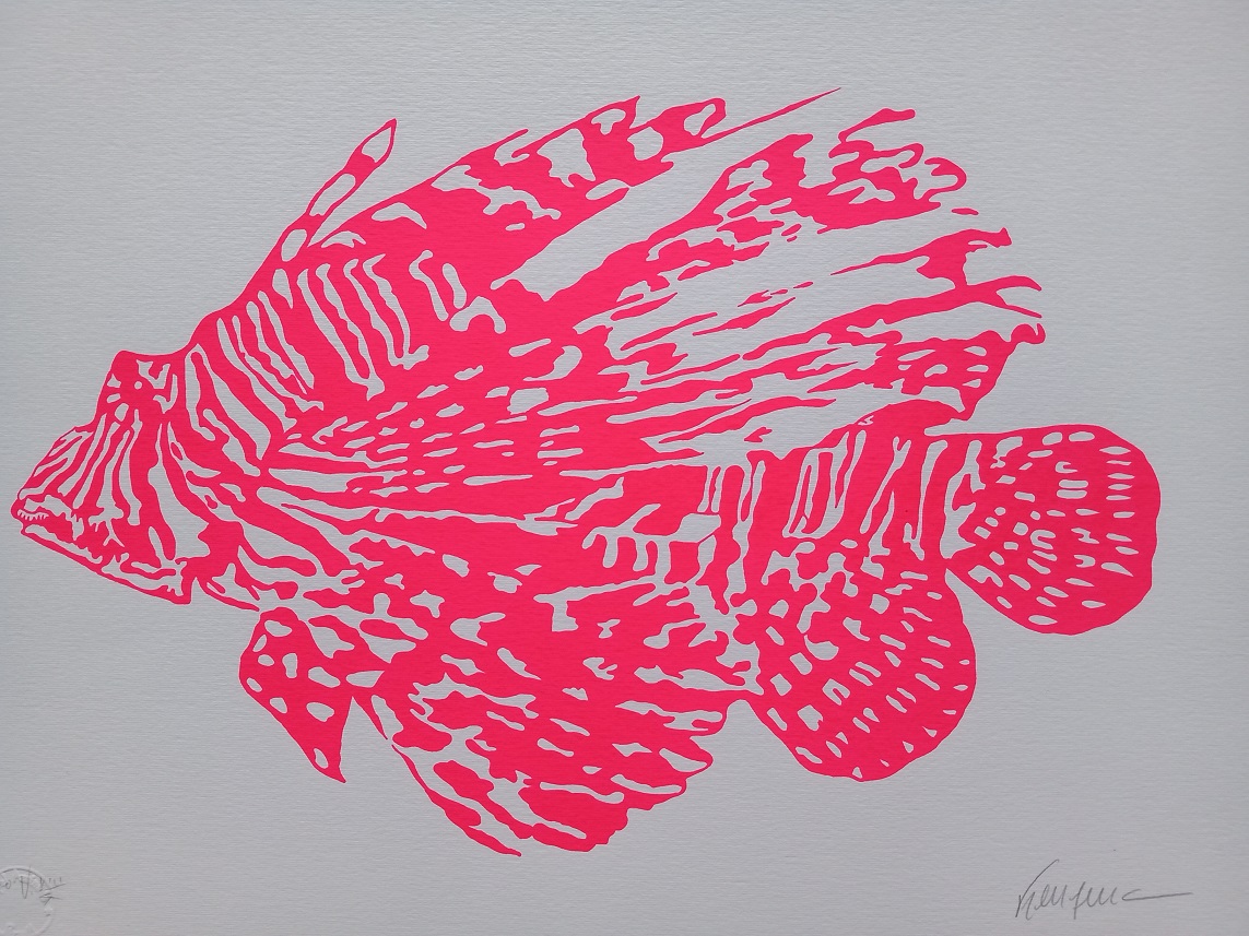 Peixe Rosa
