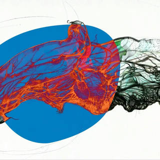 Nato Gomes - Flora Ameaçada IV