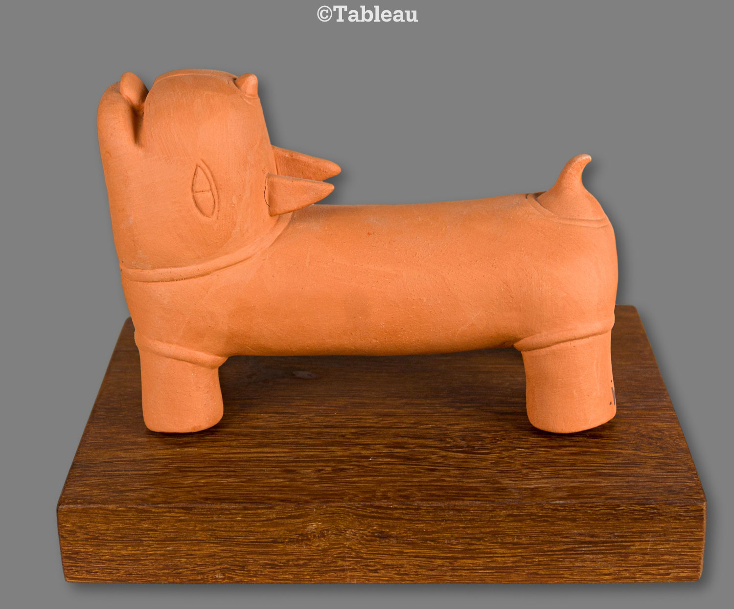 Inos Corradin - Cachorro