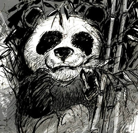 Sketch Panda