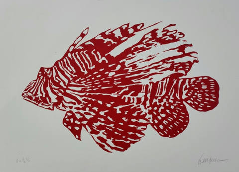 Peixe Vermelho