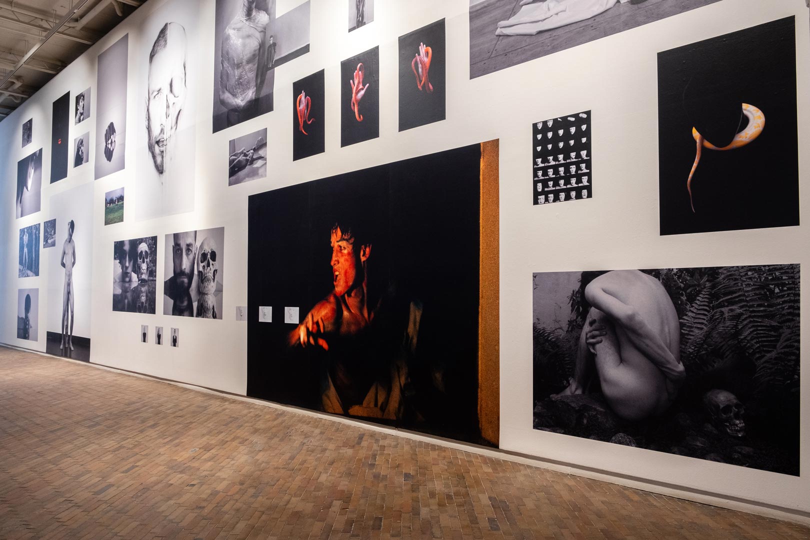 Carlos Motta - Vista da exposição