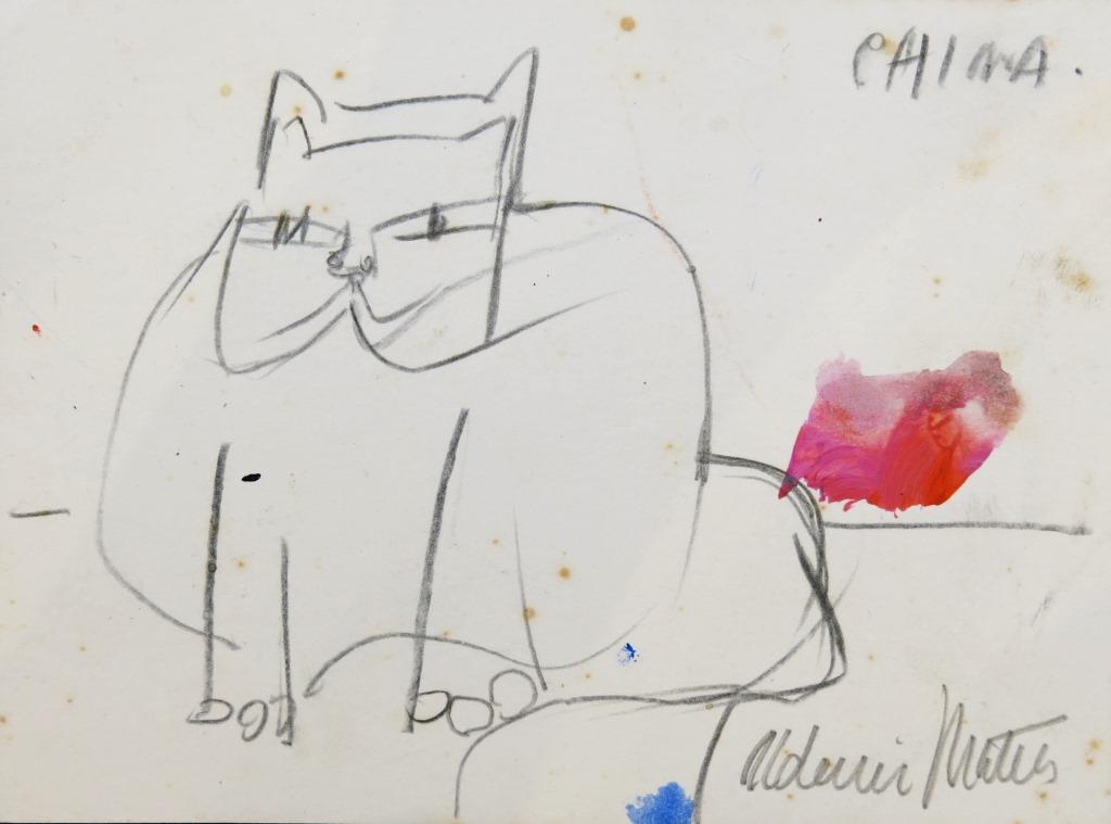 Gatos