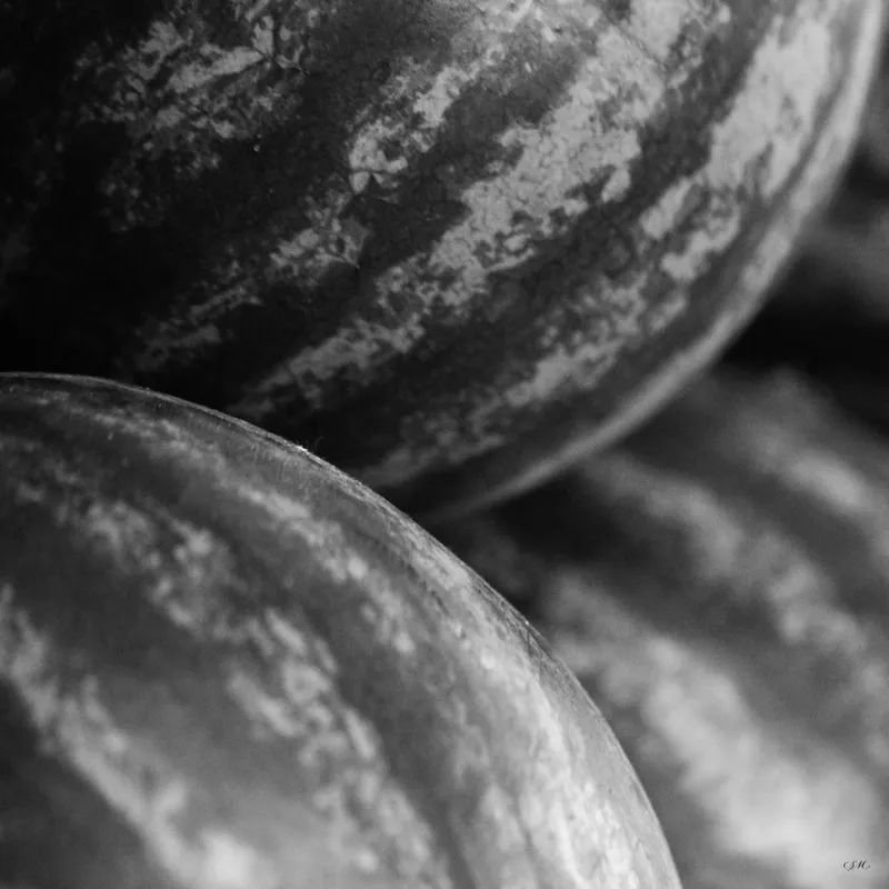 Empório Pb - Frutas 17