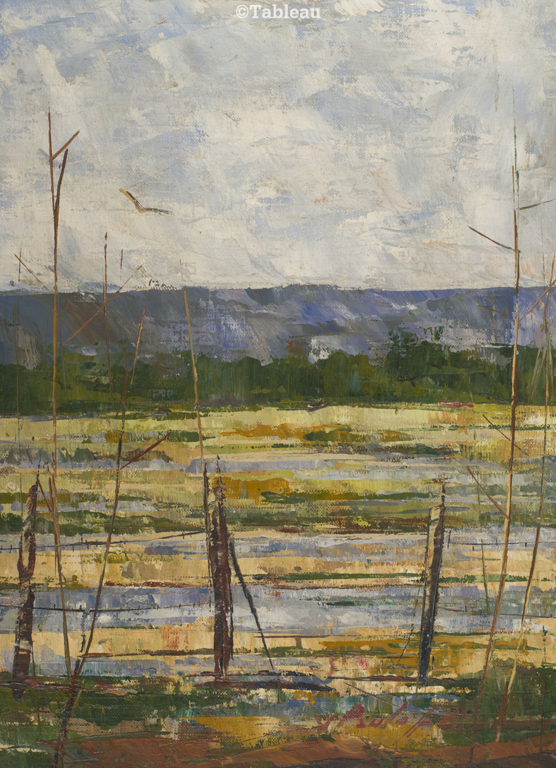 Paisagem