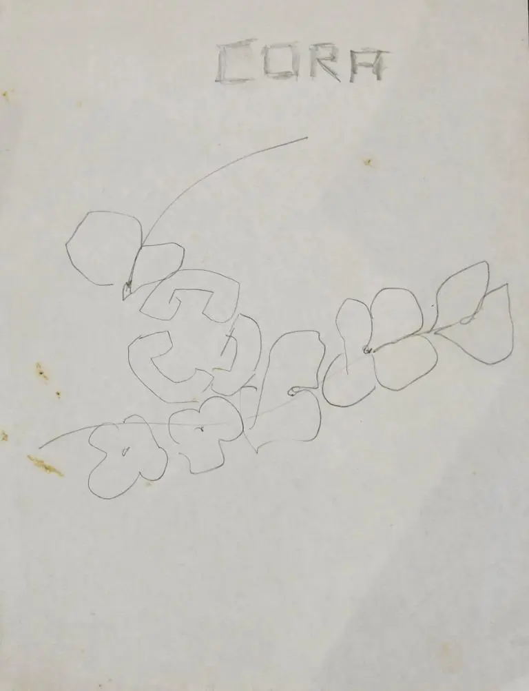 Cora