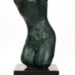 Torso