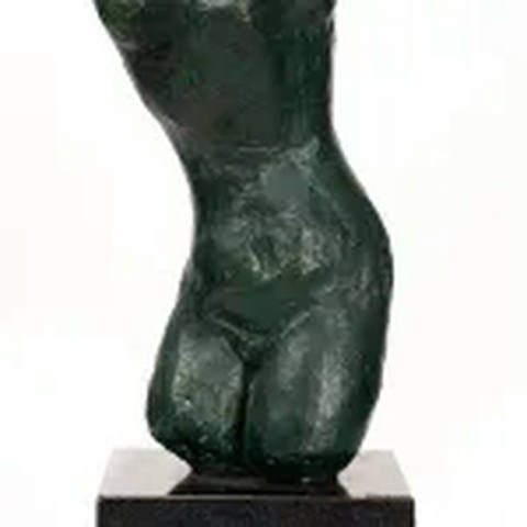 Torso