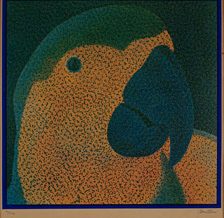 Claudio Tozzi - Papagaio