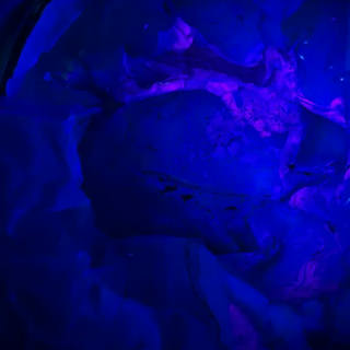 Nato Gomes - Deep Art V