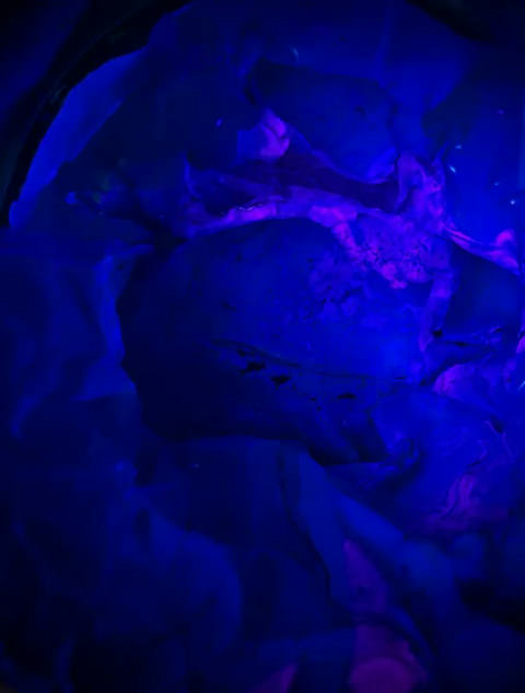Deep Art V