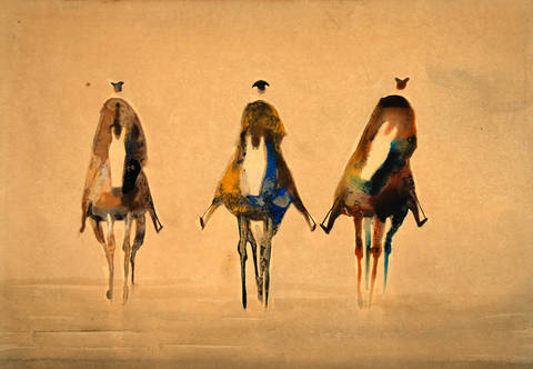 Vaqueiros
