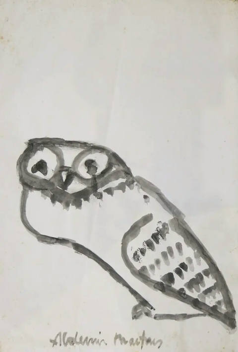 Coruja