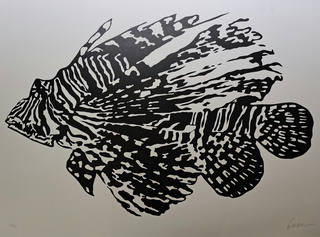 Kleber Ventura - Peixe