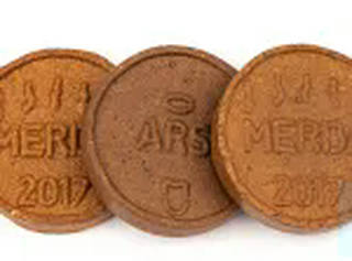 Cildo Meireles - Shit Coin