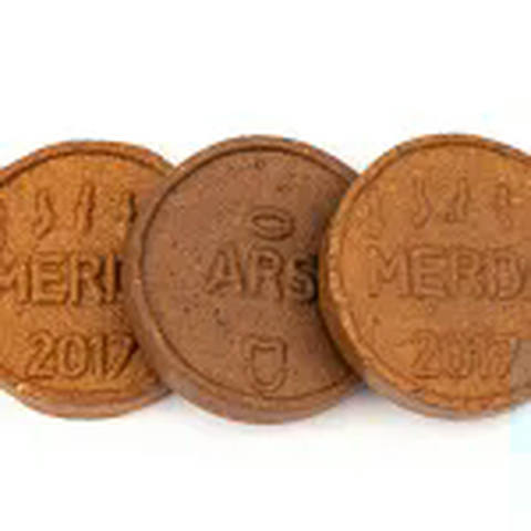 Shit Coin