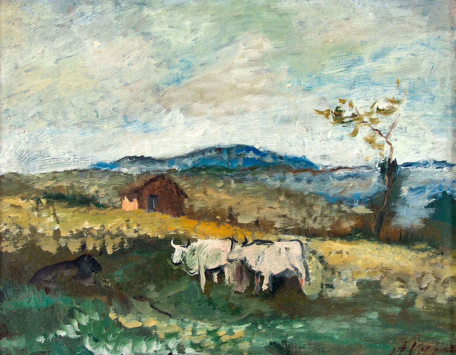 Paisagem