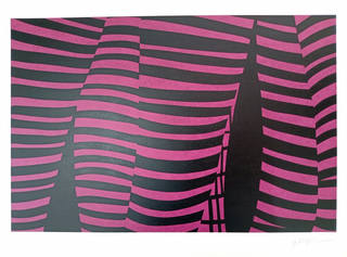 Kleber Ventura - Perna pink