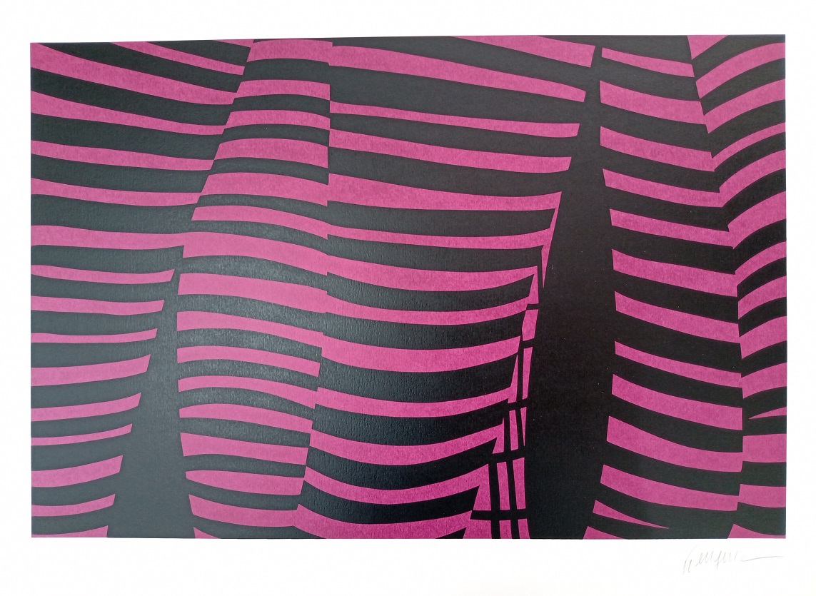 Kleber Ventura - Perna pink
