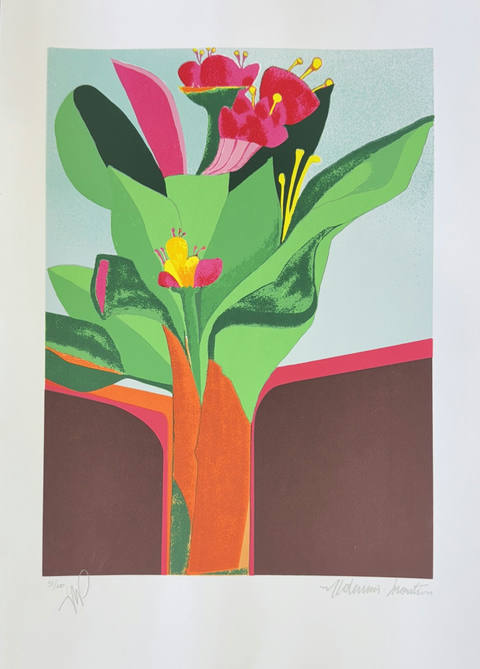 Flores