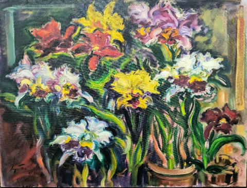 Flores