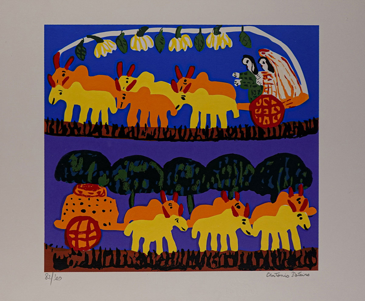 Carros de bois