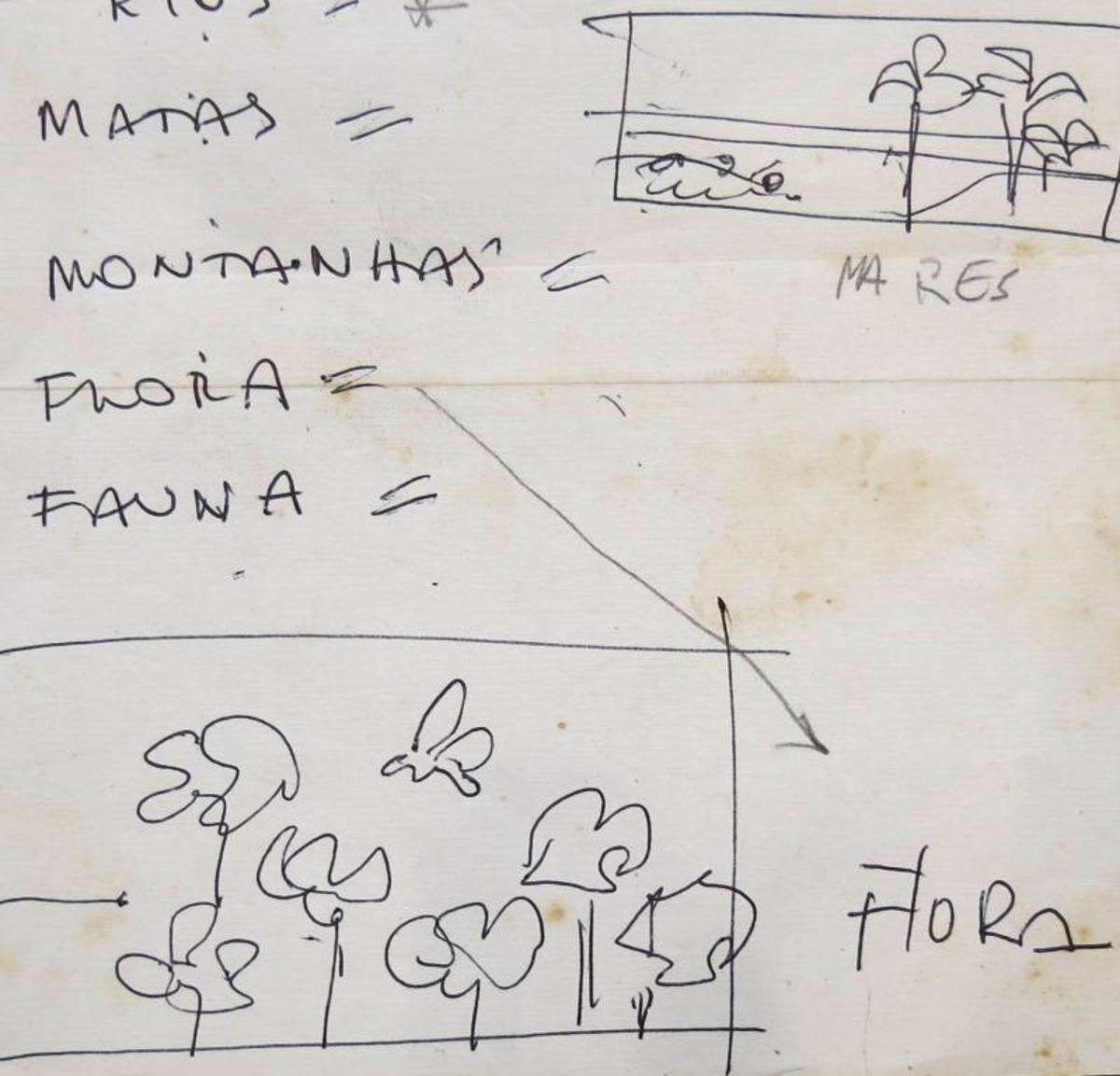 Estudos