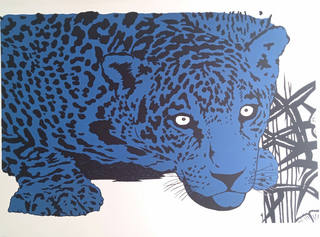 Kleber Ventura - Onça pintada azul