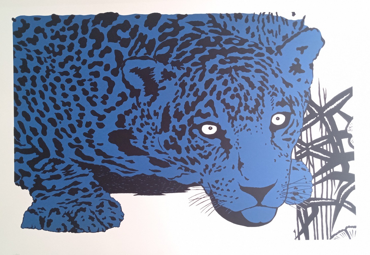 Kleber Ventura - Onça pintada azul